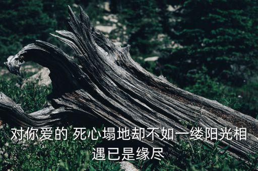 对你爱的 死心塌地却不如一缕阳光相遇已是缘尽