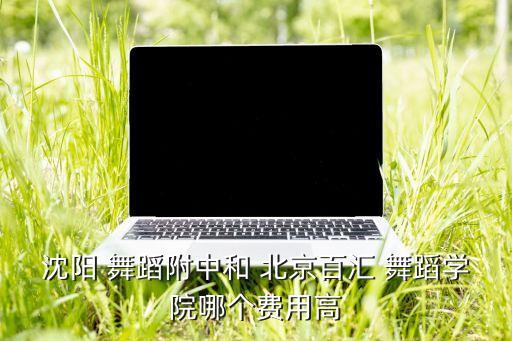 沈阳 舞蹈附中和 北京百汇 舞蹈学院哪个费用高