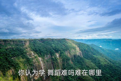 你认为学 舞蹈难吗难在哪里
