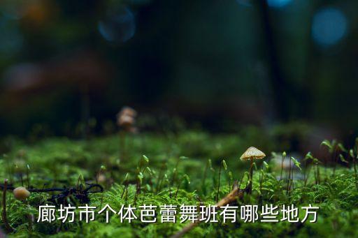 廊坊市个体芭蕾舞班有哪些地方