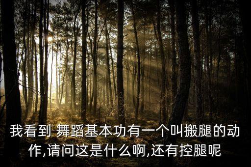 行草舞蹈