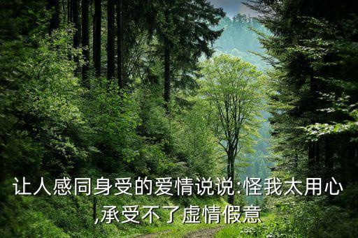 让人感同身受的爱情说说:怪我太用心,承受不了虚情假意