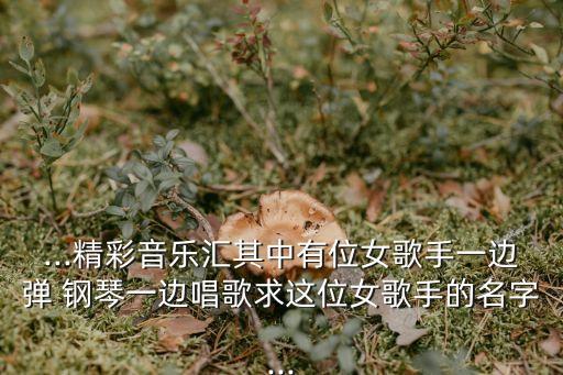 ...精彩音乐汇其中有位女歌手一边弹 钢琴一边唱歌求这位女歌手的名字...