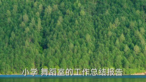 舞舞蹈台演出流程总结,舞蹈演出流程安排范文