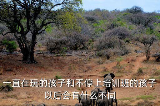 一直在玩的孩子和不停上培训班的孩子以后会有什么不同