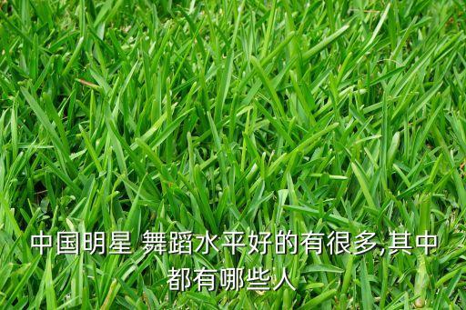 中国明星 舞蹈水平好的有很多,其中都有哪些人