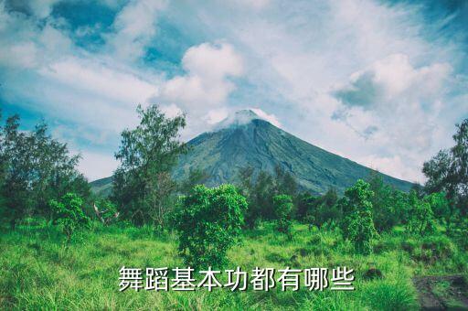  舞蹈基本功都有哪些