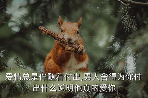 爱情总是伴随着付出,男人舍得为你付出什么说明他真的爱你