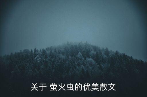 关于 萤火虫的优美散文