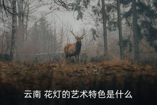 云南 花灯的艺术特色是什么