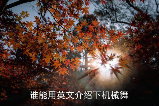 谁能用英文介绍下机械舞