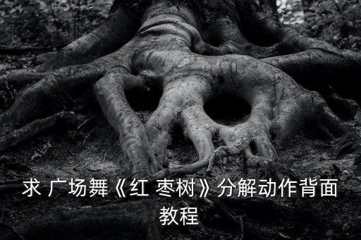求 广场舞《红 枣树》分解动作背面教程