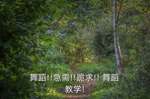  舞蹈!!急需!!跪求!! 舞蹈 教学!