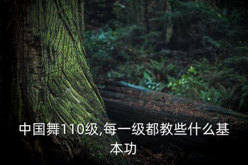 中国舞110级,每一级都教些什么基本功