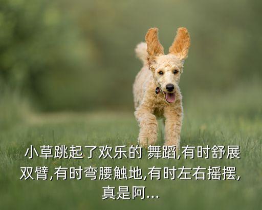  小草跳起了欢乐的 舞蹈,有时舒展双臂,有时弯腰触地,有时左右摇摆,真是阿...