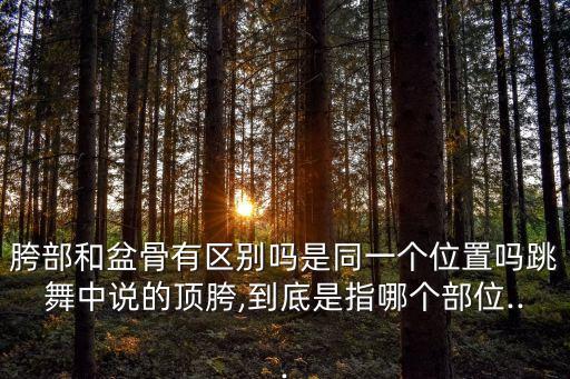 胯部和盆骨有区别吗是同一个位置吗跳舞中说的顶胯,到底是指哪个部位...