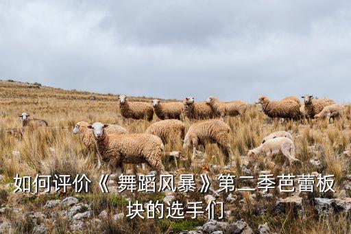 如何评价《 舞蹈风暴》第二季芭蕾板块的选手们