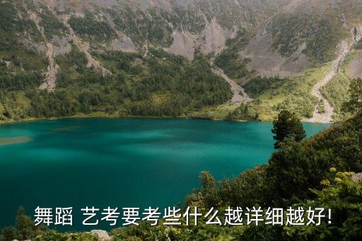  舞蹈 艺考要考些什么越详细越好!
