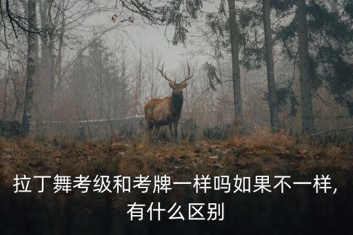 拉丁舞考级和考牌一样吗如果不一样,有什么区别