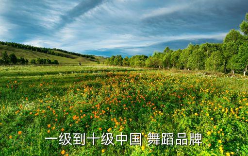 一级到十级中国 舞蹈品牌