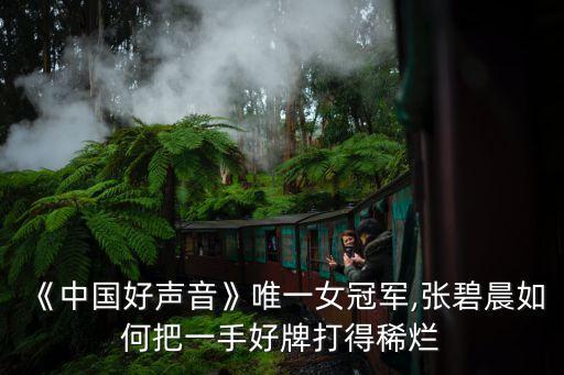 《中国好声音》唯一女冠军,张碧晨如何把一手好牌打得稀烂