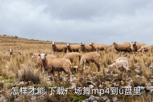 怎样才能 下载广场舞mp4到u盘里