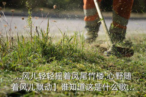 浪拉山情舞蹈表现了什么,舞蹈浪拉山情课堂教学背面