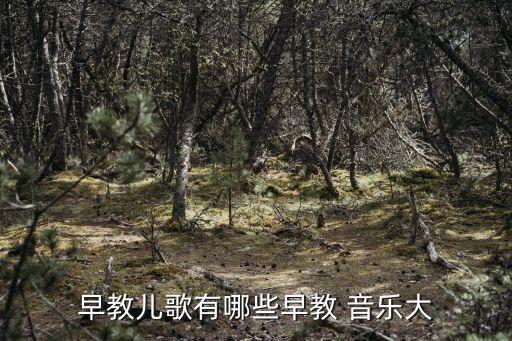 早教儿歌有哪些早教 音乐大
