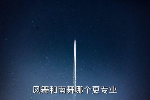 凤舞和南舞哪个更专业
