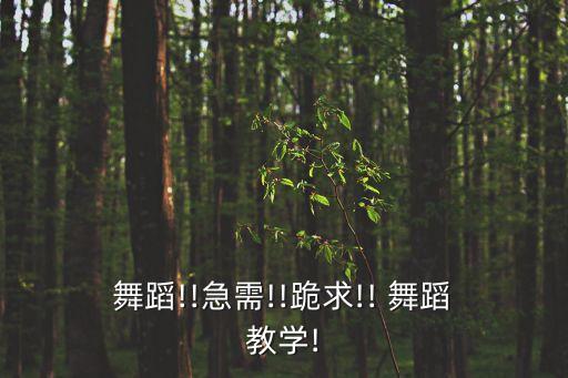  舞蹈!!急需!!跪求!! 舞蹈 教学!