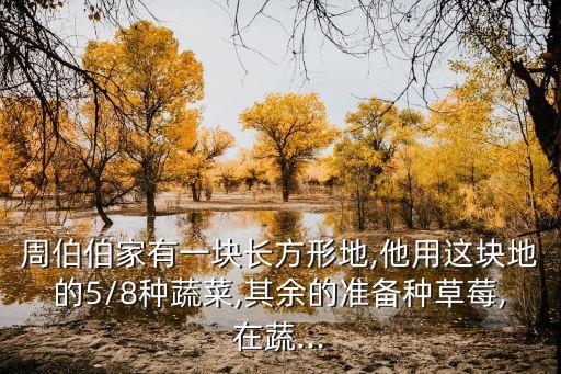 周伯伯家有一块长方形地,他用这块地的5/8种蔬菜,其余的准备种草莓,在蔬...