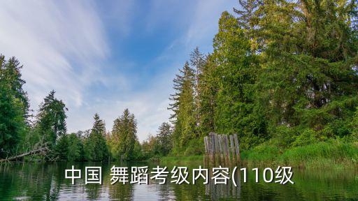 中国 舞蹈考级内容(110级