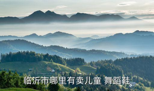 临沂市哪里有卖儿童 舞蹈鞋