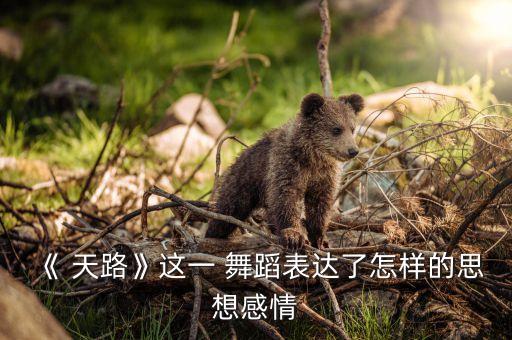 《 天路》这一 舞蹈表达了怎样的思想感情