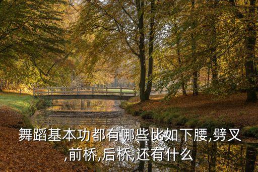  舞蹈基本功都有哪些比如下腰,劈叉,前桥,后桥,还有什么