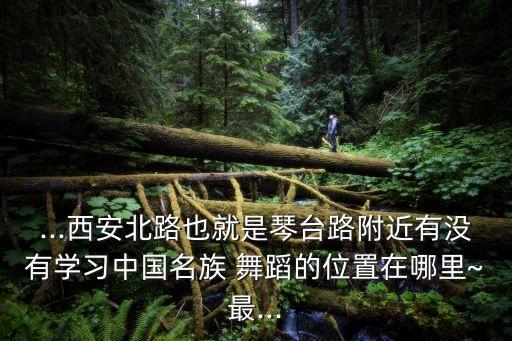 红帆舞蹈班9级班,邹城红帆舞蹈学校怎么样