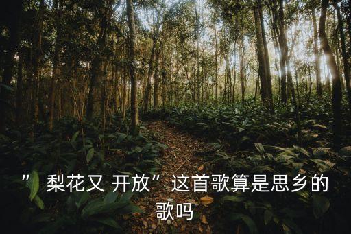 ” 梨花又 开放”这首歌算是思乡的歌吗