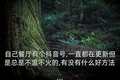 适合餐饮的舞蹈视频,餐饮晨会舞蹈教学视频大全
