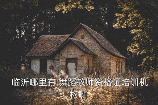  临沂哪里有 舞蹈教师资格证培训机构啊