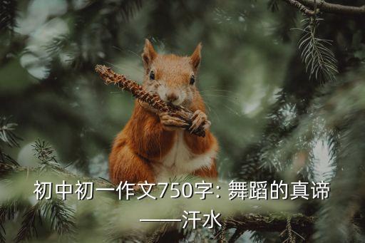 舞蹈音乐之美