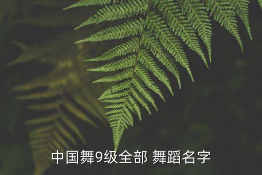 中国舞9级全部 舞蹈名字