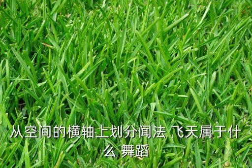 从空间的横轴上划分闻法 飞天属于什么 舞蹈