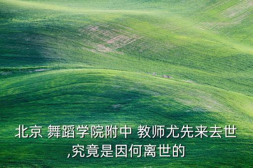 北舞舞蹈教师