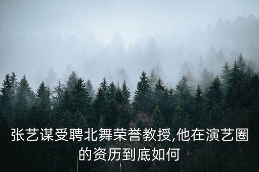 张艺谋受聘北舞荣誉教授,他在演艺圈的资历到底如何