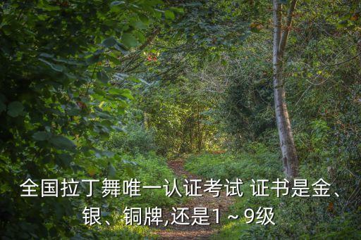 全国拉丁舞唯一认证考试 证书是金、银、铜牌,还是1～9级