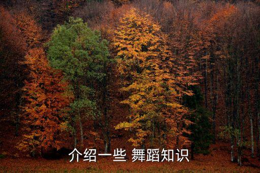 介绍一些 舞蹈知识