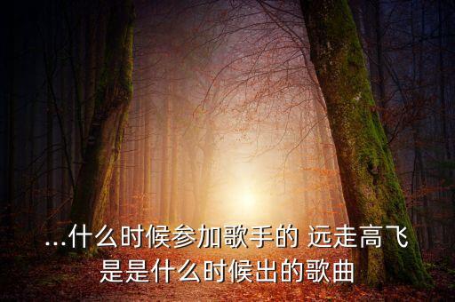 ...什么时候参加歌手的 远走高飞是是什么时候出的歌曲