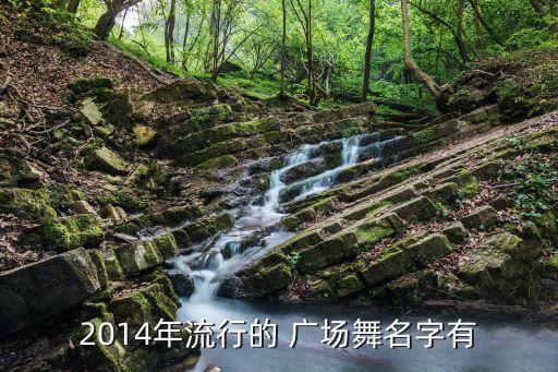 2014年流行的 广场舞名字有