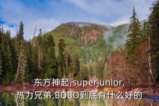 东方神起,superjunior,热力兄弟,BOBO到底有什么好的