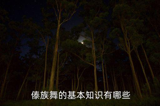  傣族舞的基本知识有哪些